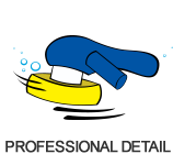 Professional Detail Icon